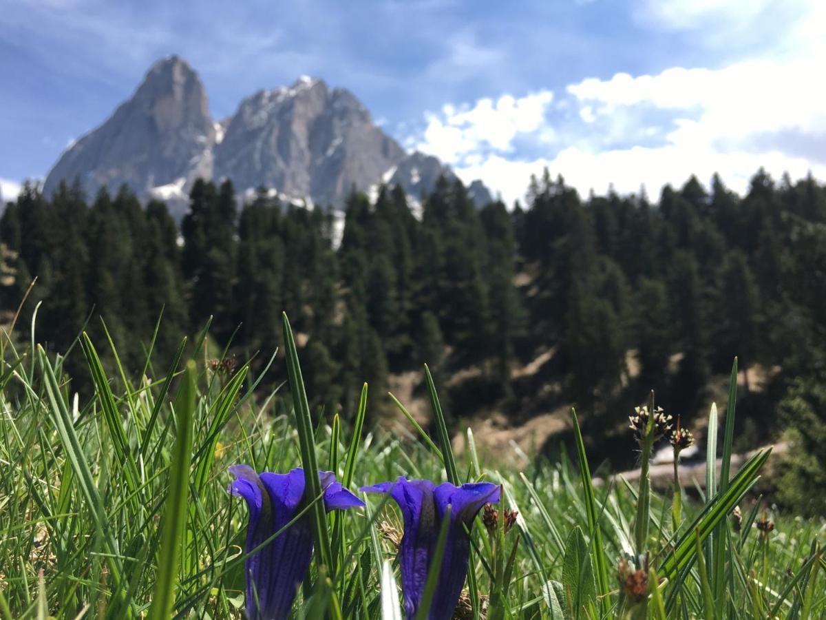 Agriturism Gscnara Lägenhet San Martino in Badia Exteriör bild