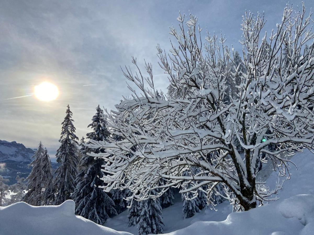 Agriturism Gscnara Lägenhet San Martino in Badia Exteriör bild